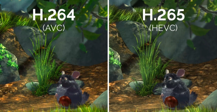 h264 vs h265