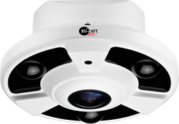 5MP HD камера с высокой чувствительностью типа Рыбий глаз RVA-DM365ZC85-DEP